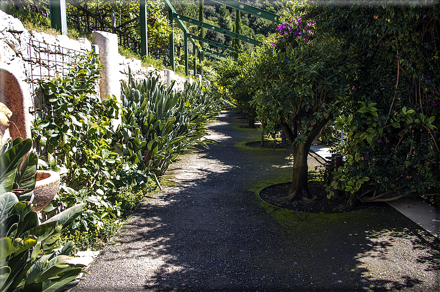 foto Giardini Trauttmansdorff - Giardini del Sole